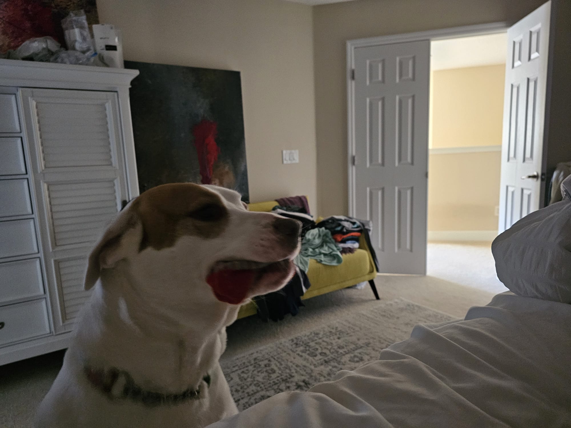 mia, la amiga de Enzo Trapani