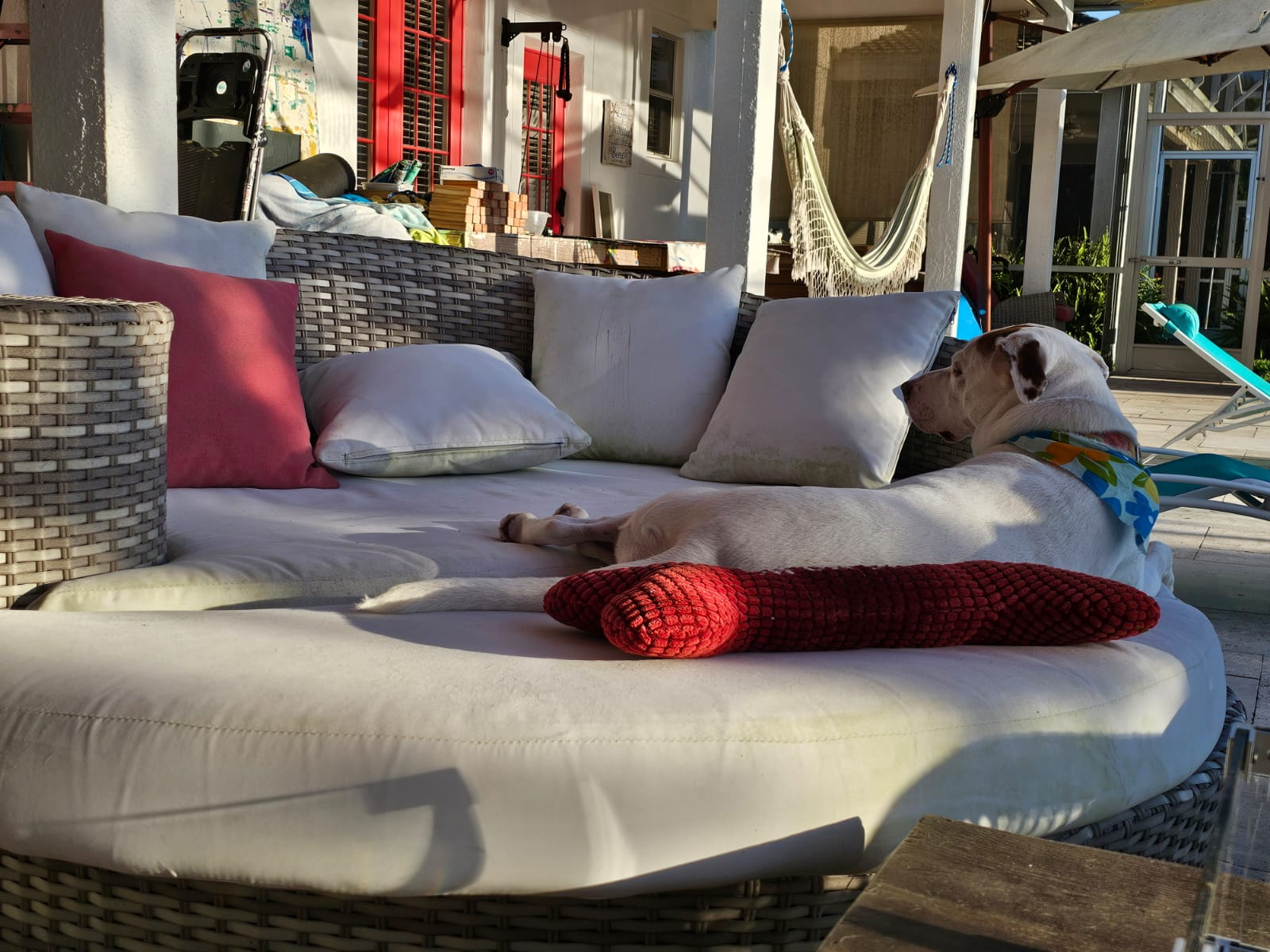 Enzo Trapani_mia_de paseo