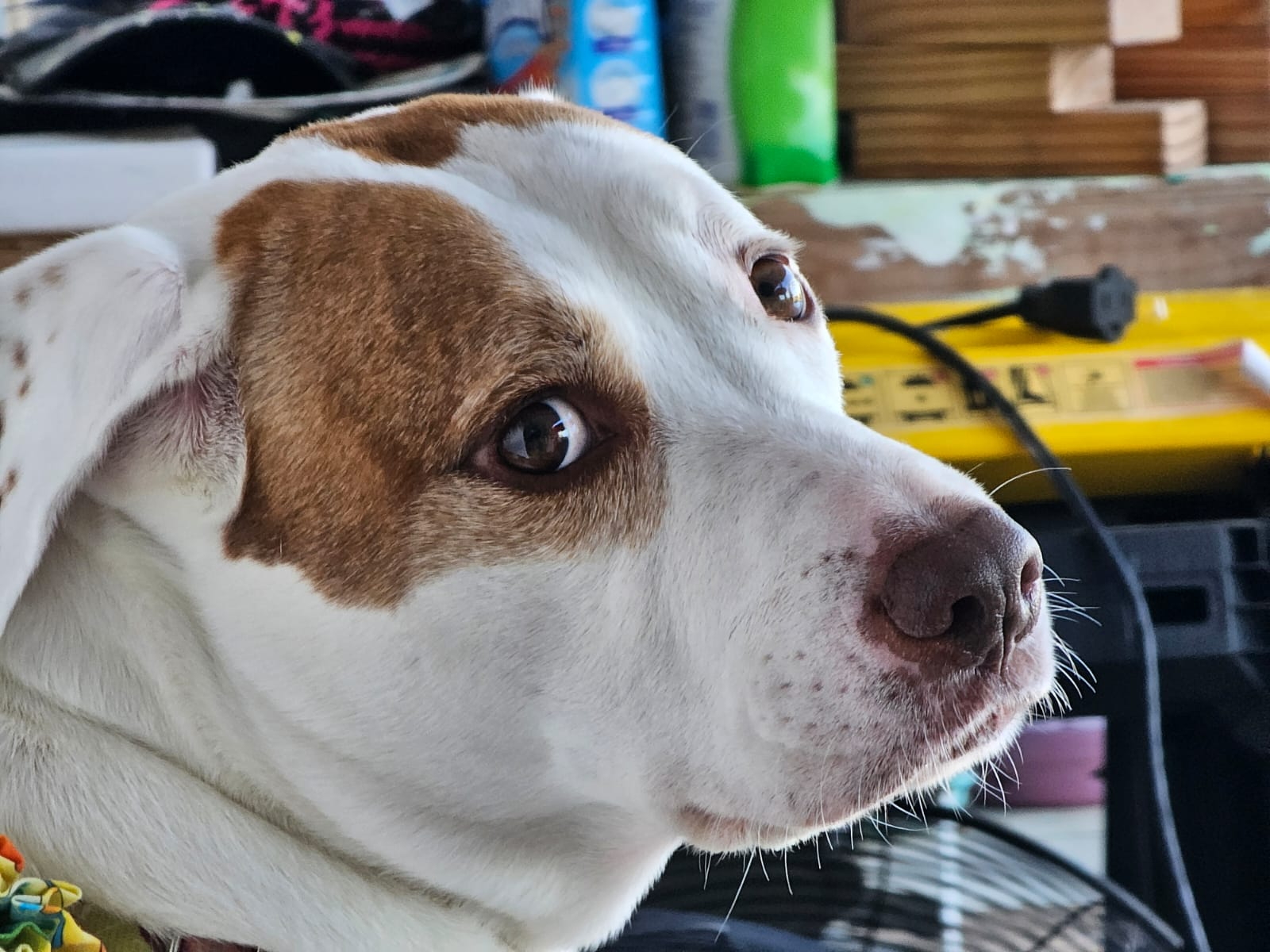 Una mirada intensa que interroga