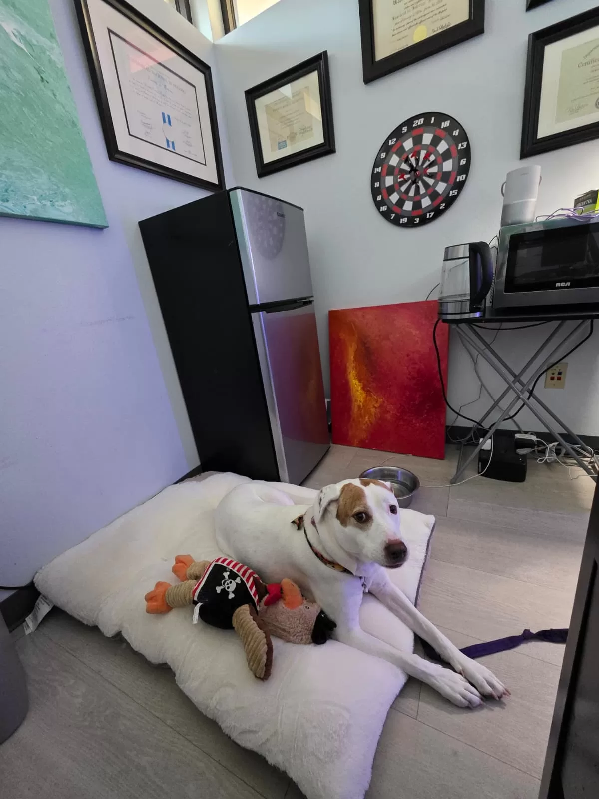 enzo_trapani_enzology_florida